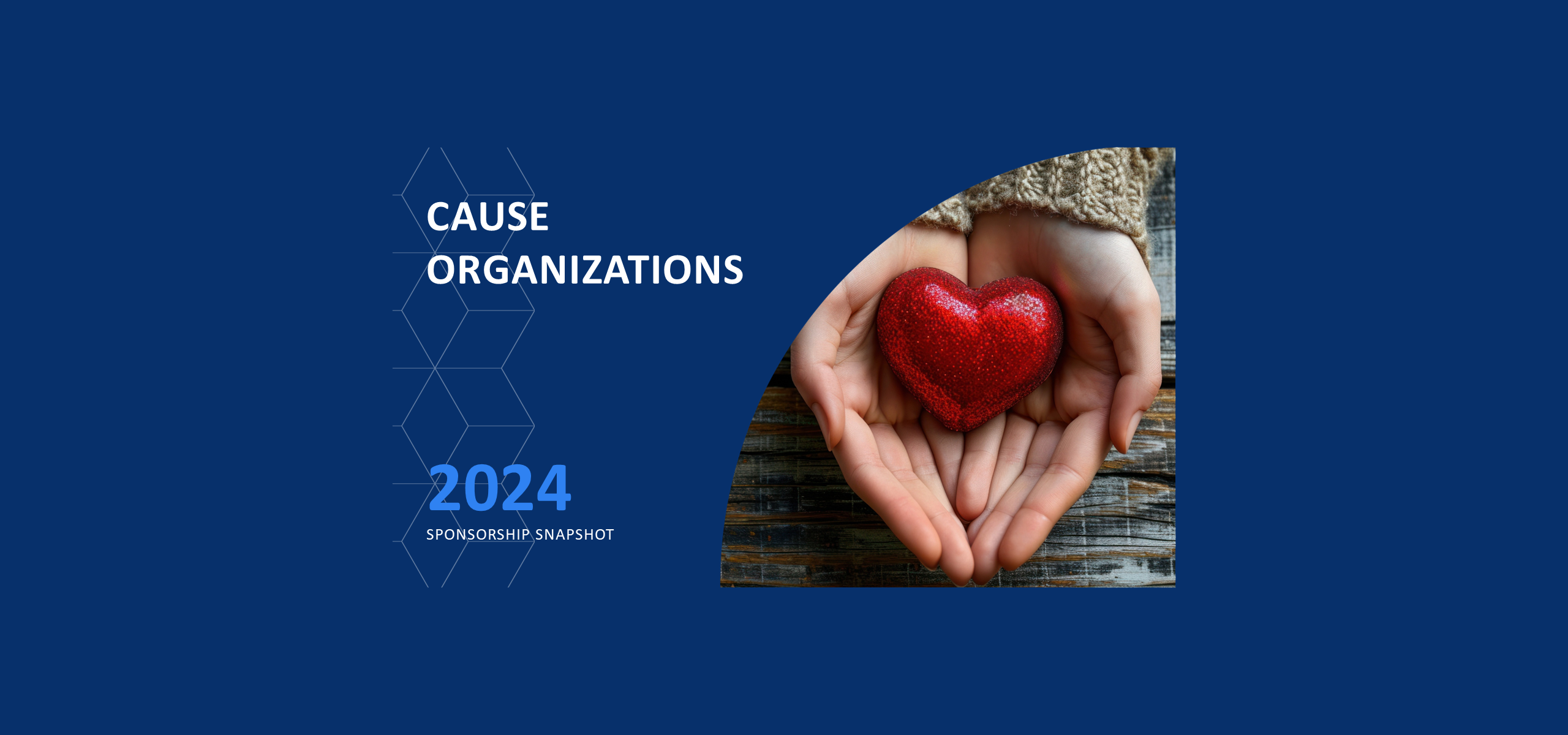 Cause Organizations: 2024 Sponsorship Snapshot